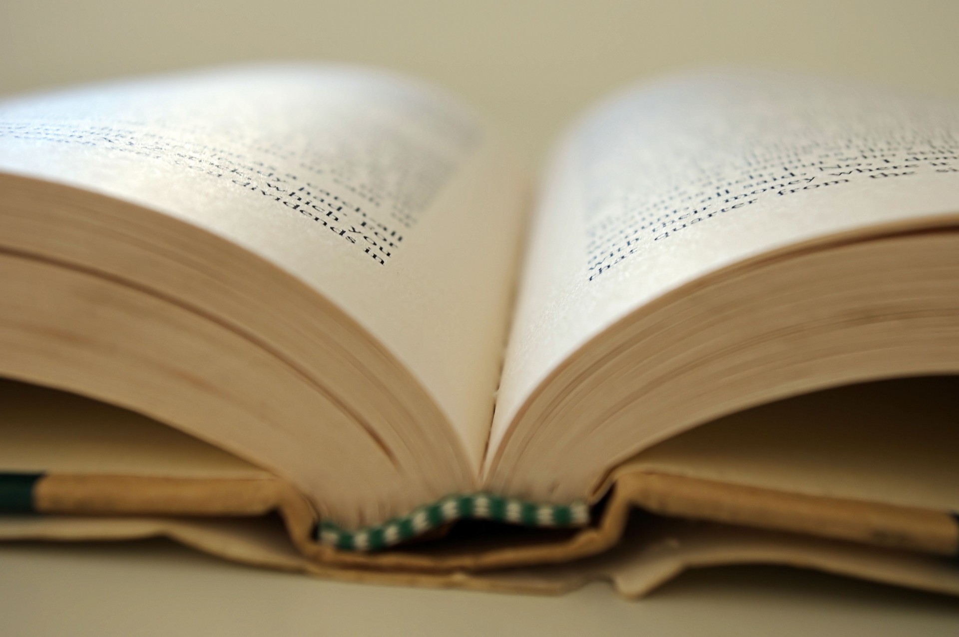 Libro Revisioniautoblog Gli Appunti Di Un Ispettore